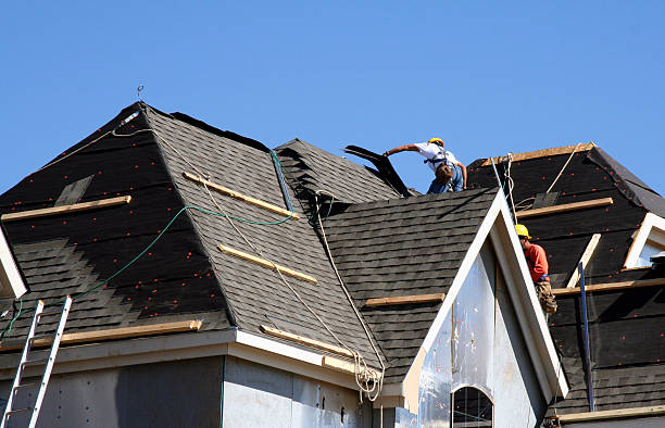 Best Storm Damage Roof Repair  in Sheridan, IN