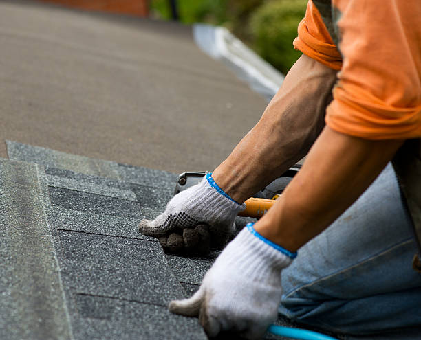 Best Storm Damage Roof Repair  in Sheridan, IN